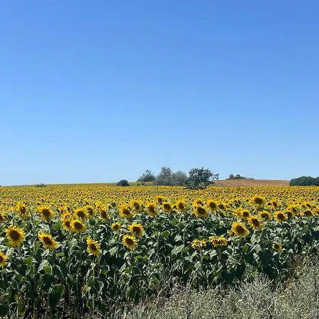 Apartment Family With Sea View Vineyard *