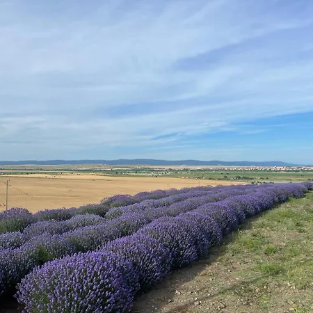 شقة Family With Sea View Vineyard *