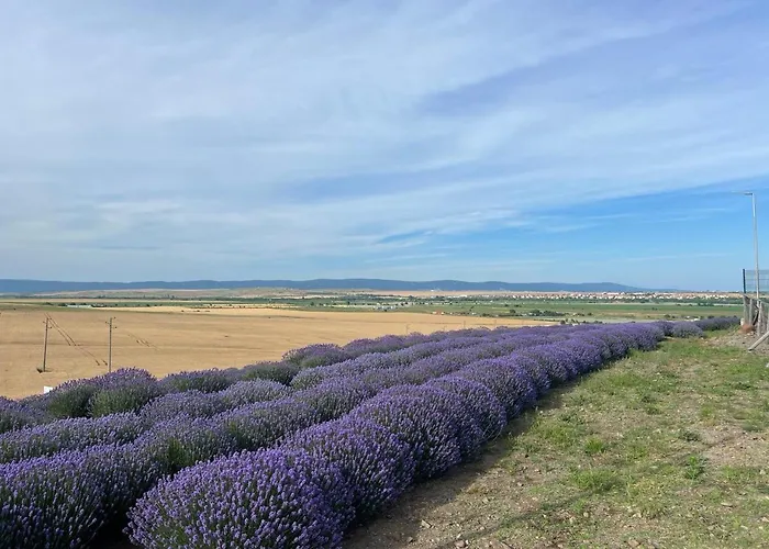 Апартамент Family With Sea View Vineyard *