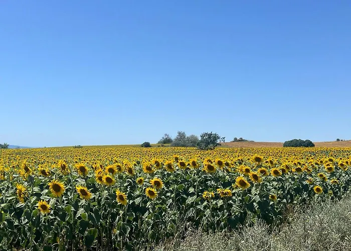 Апартамент Family With Sea View Vineyard *